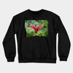 Scarlet Ibis Crewneck Sweatshirt